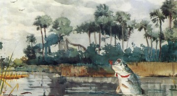  maler - Black Bass Florida Realismus Maler Winslow Homer